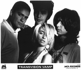 transvision-vamp-small